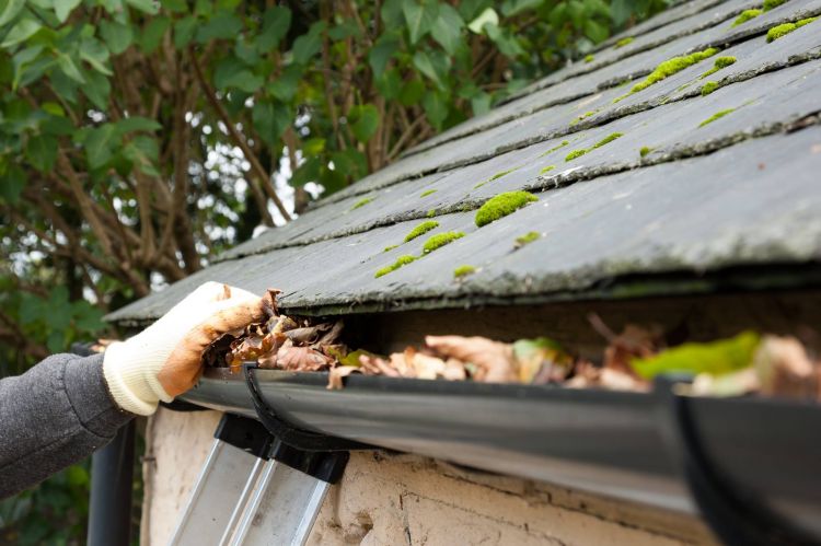 Everything You Need to Know About Gutter Cleaning 